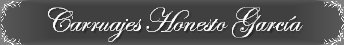 web_carruajes_hg5006016.jpg