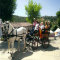 web_carruajes_hg5018004.jpg